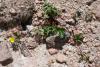 dsc02879_t1.jpg