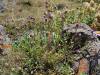dsc02925_t1.jpg