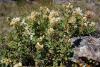 dsc02926_t1.jpg