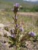 dsc02935_t1.jpg