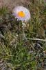 dsc03083_t1.jpg