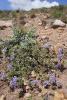 dsc03116_t1.jpg