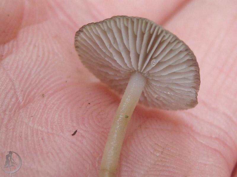 190977.jpg