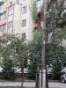 24094_t1.jpg