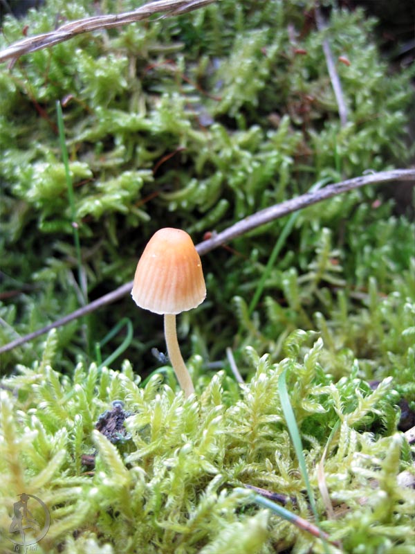 250918.jpg