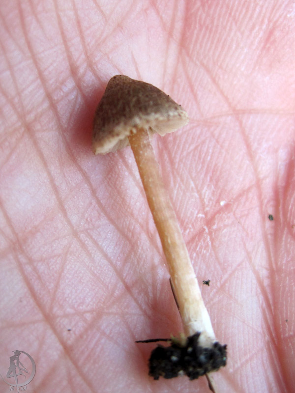 250924.jpg