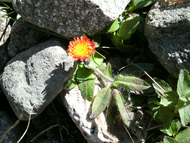 gedc1137.jpg