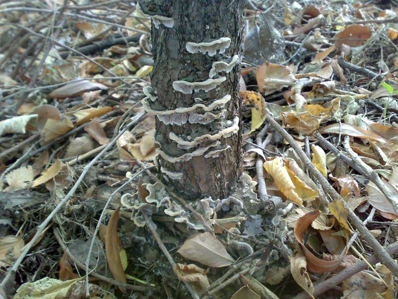 11102010457.jpg