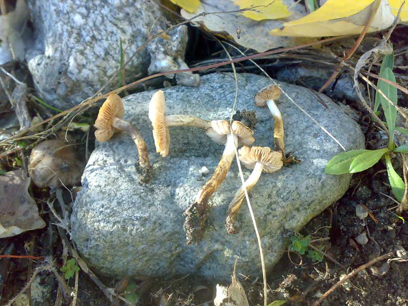 13102010485.jpg