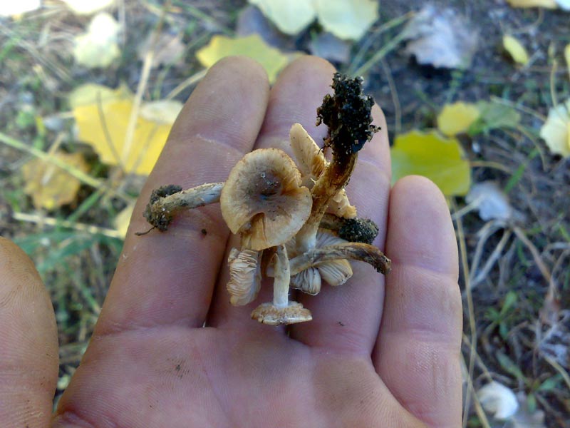 13102010487.jpg