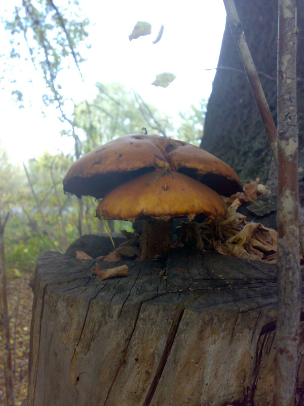 13102010488.jpg