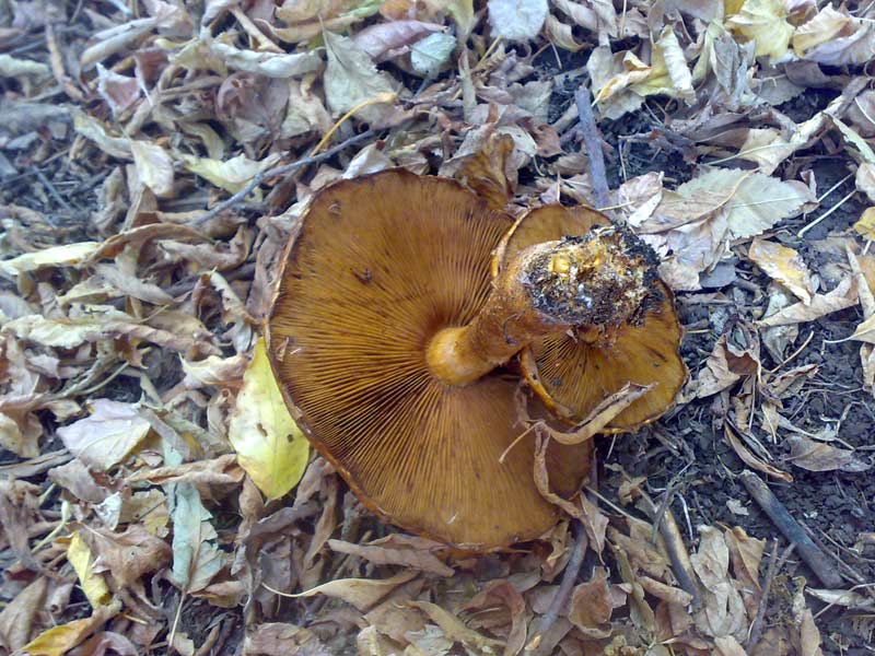 13102010491.jpg