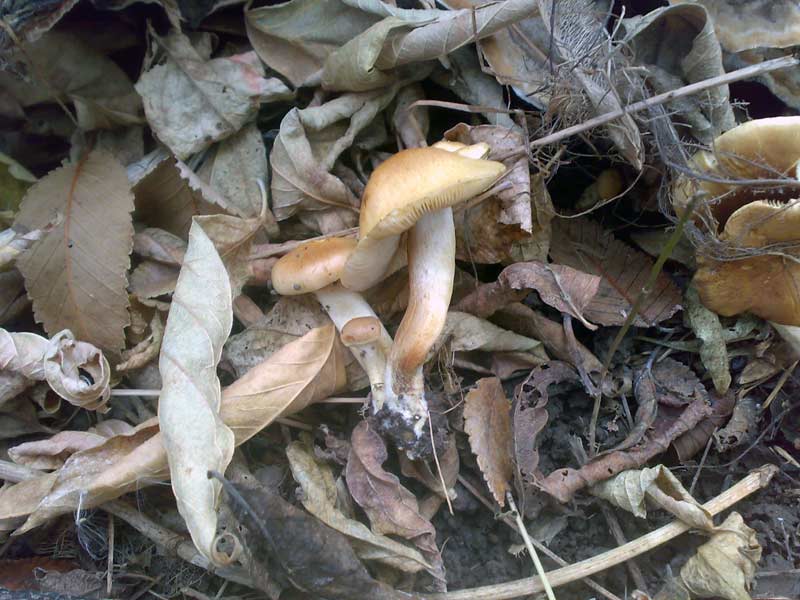 13102010492.jpg