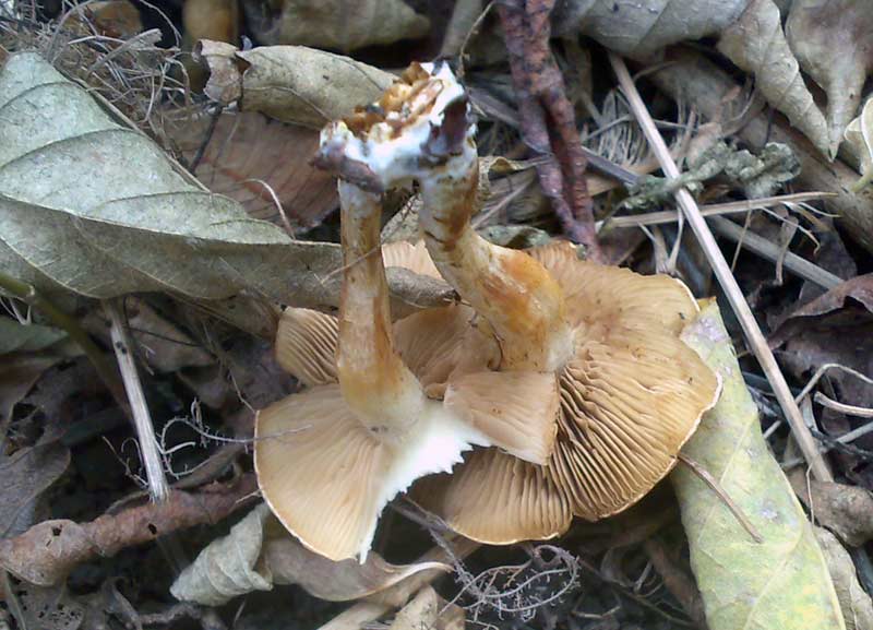 13102010493.jpg