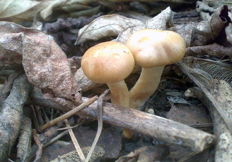 13102010496.jpg