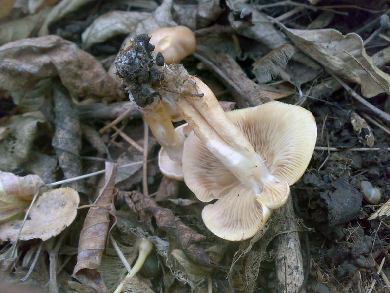 13102010497.jpg