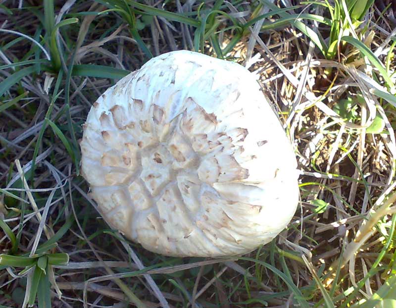 26102010534.jpg