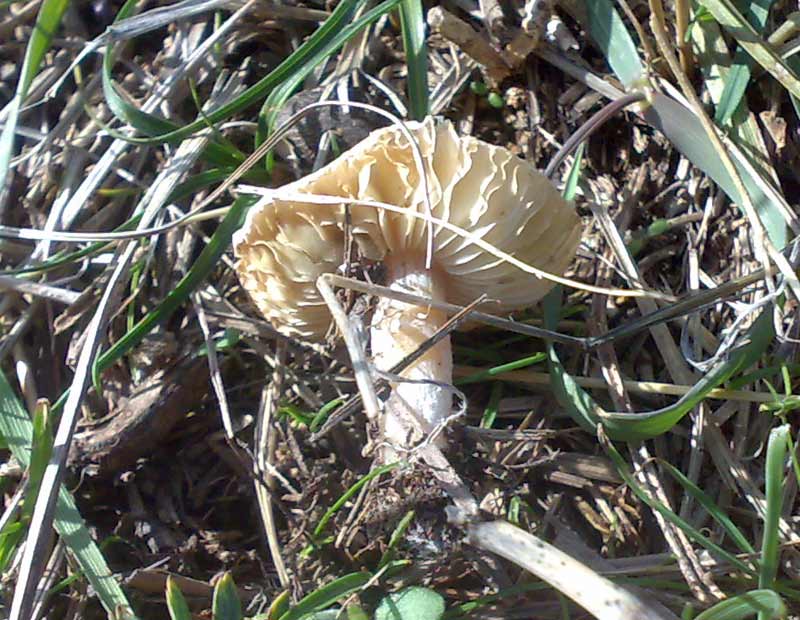 26102010537.jpg