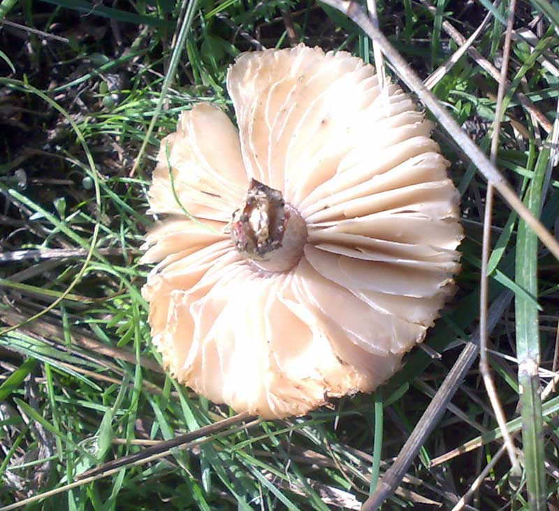 26102010546.jpg