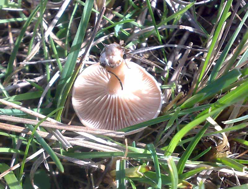 26102010550.jpg