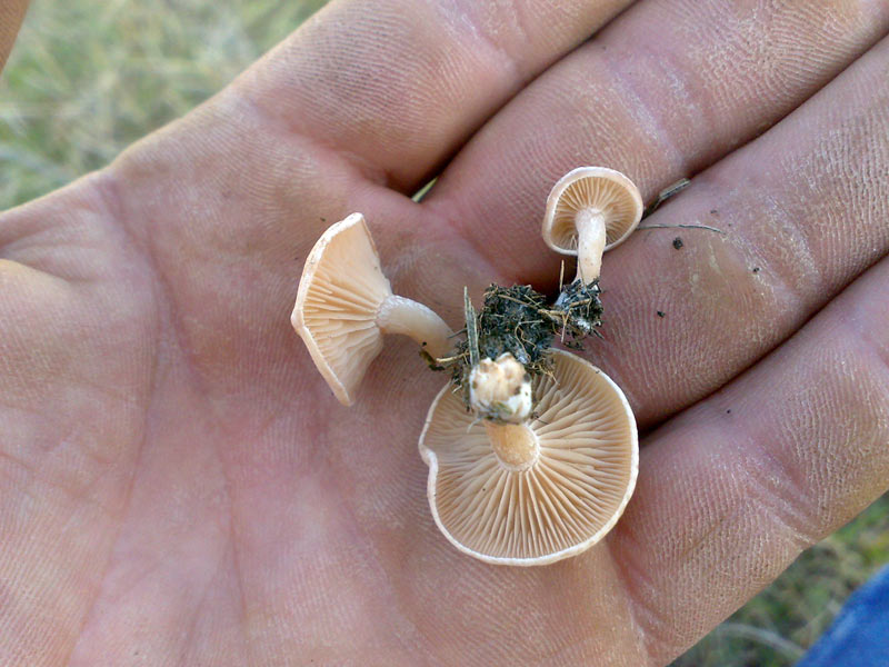 26102010551.jpg