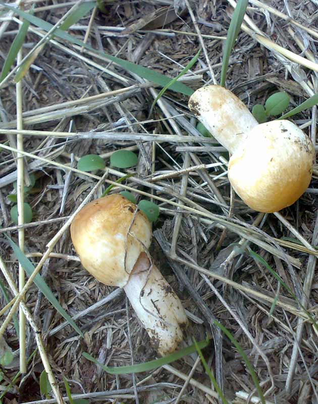 26102010574.jpg