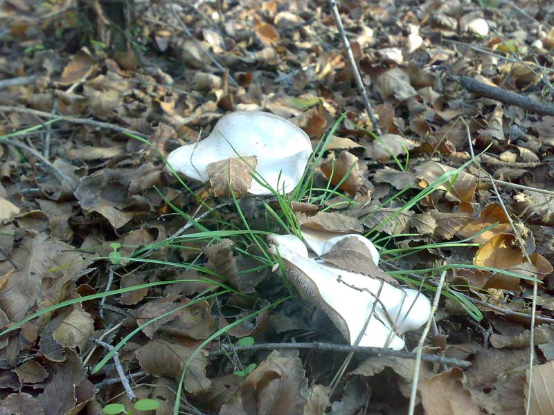 27102010596.jpg