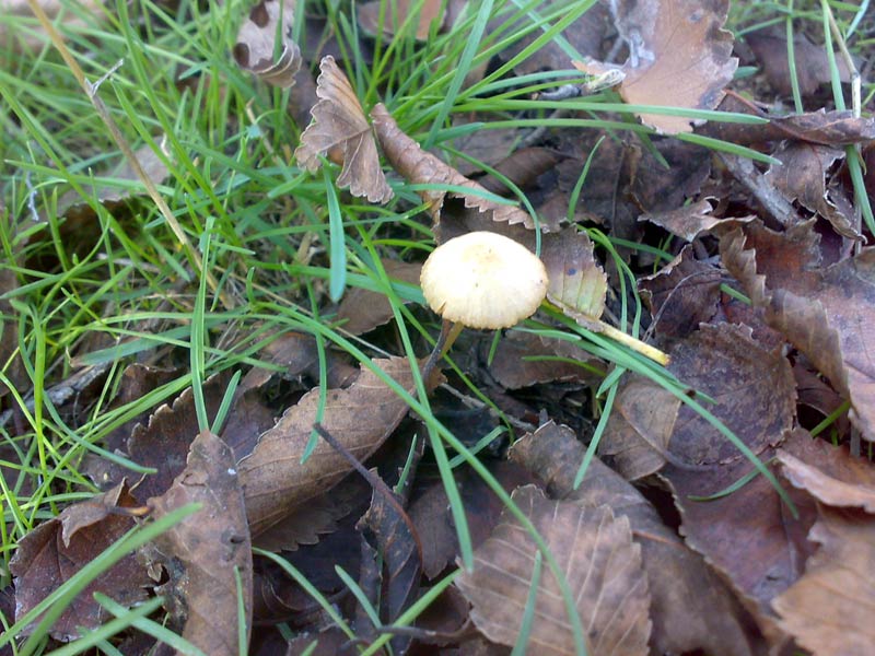 27102010609.jpg