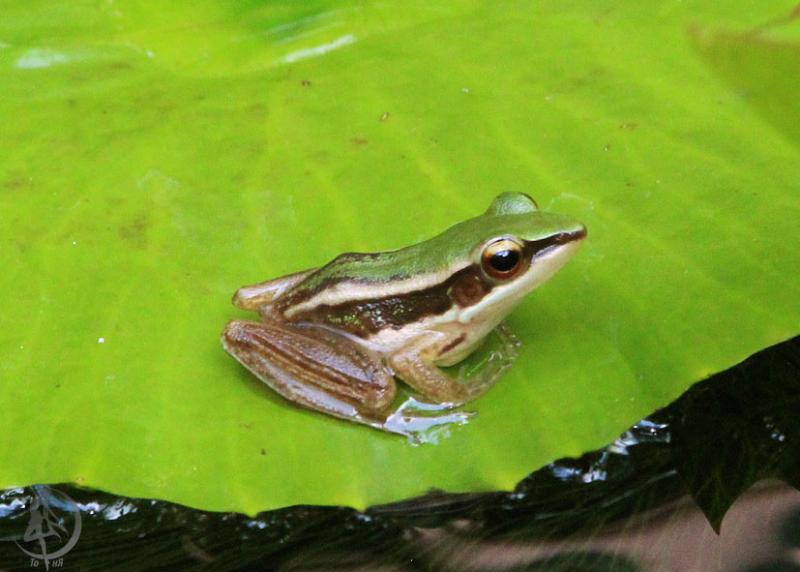 20120228.16.jpg