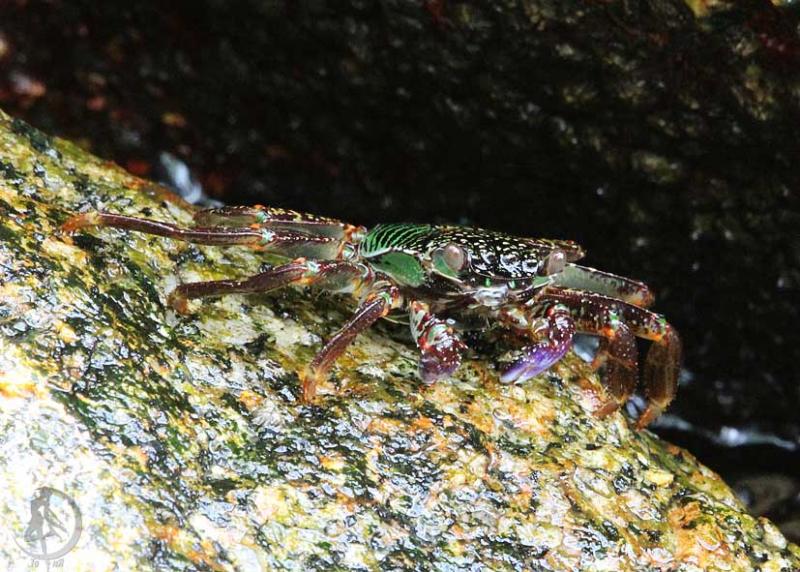 20120228.29.jpg