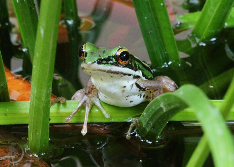 20120228.42.jpg