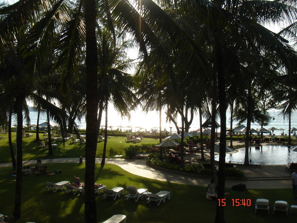 dsc02386.jpg