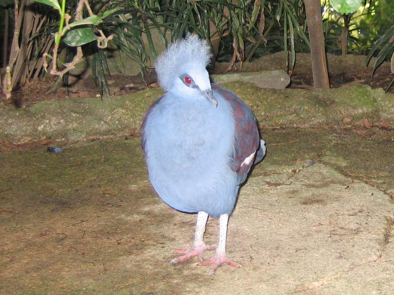 78.jpg