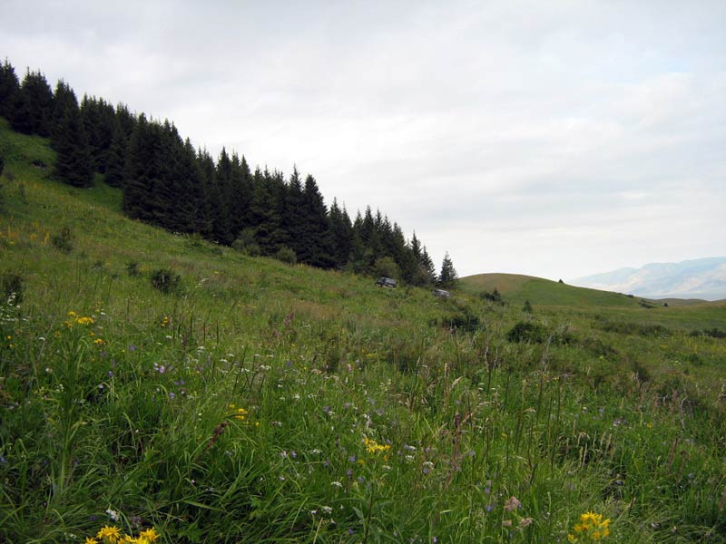 27.07.2010-056.jpg