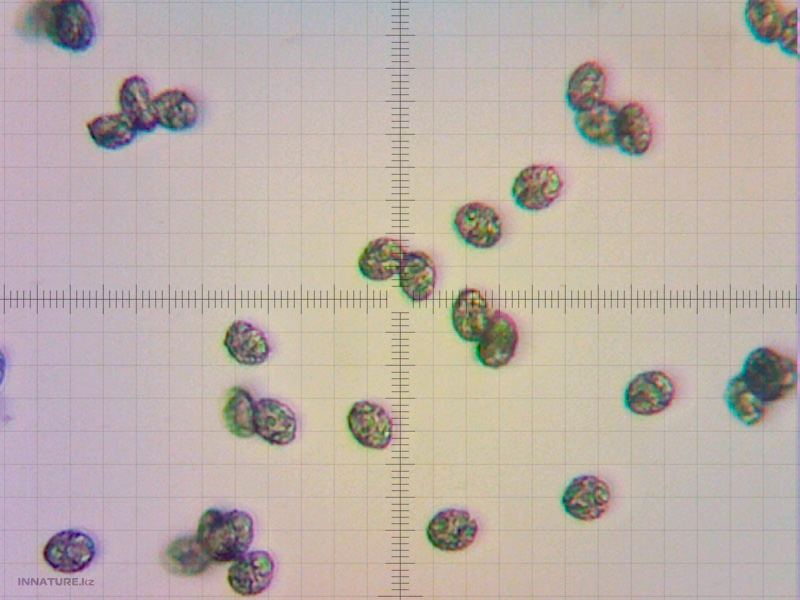 01230612_01.jpg