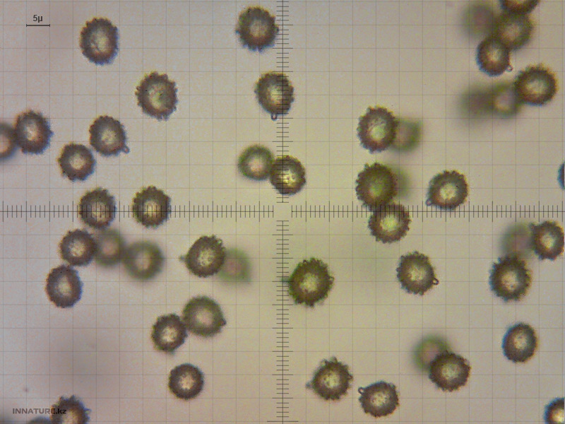 1414092015_1.jpg