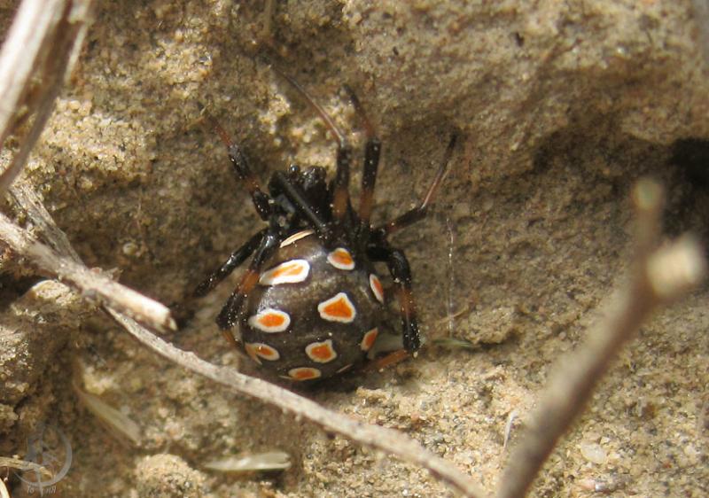2012.05.13.169.jpg
