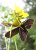 2012.06.02.6_t1.jpg