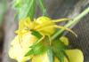 2012.06.02.9_t1.jpg