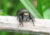 2012.06.09.96_t1.jpg