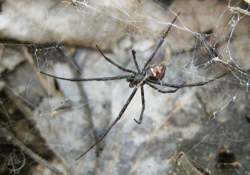 2012.06.16.112.jpg