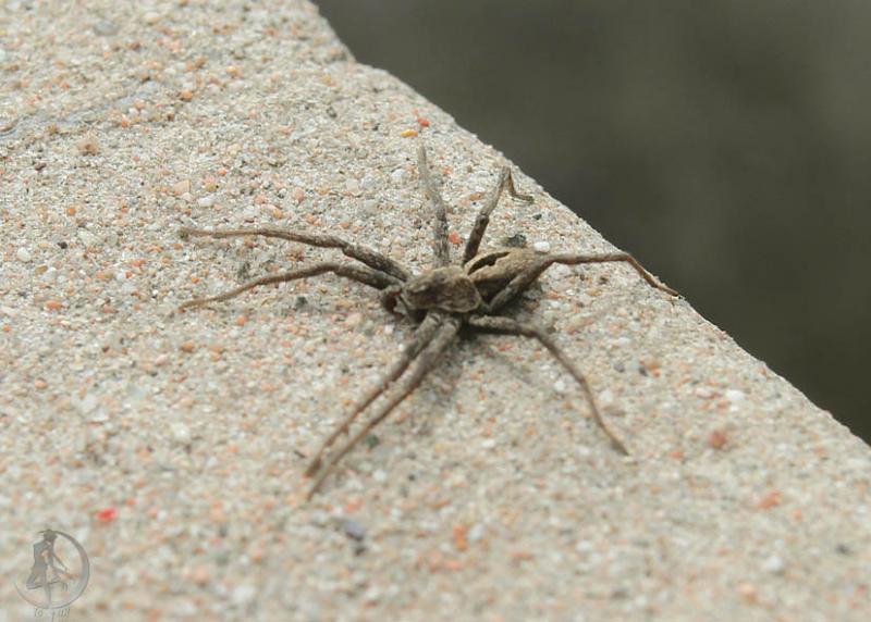 20120428.5.jpg
