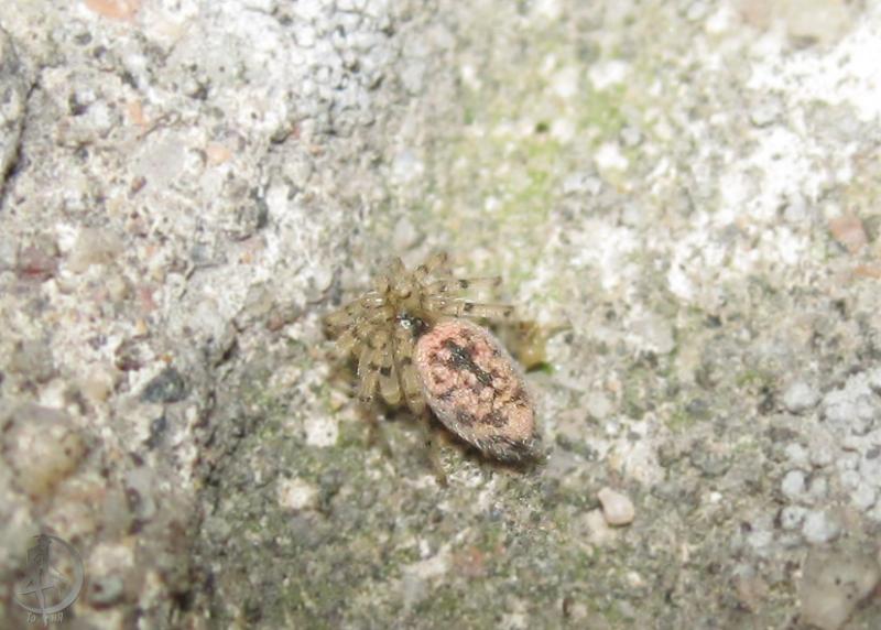 20120628.7.jpg